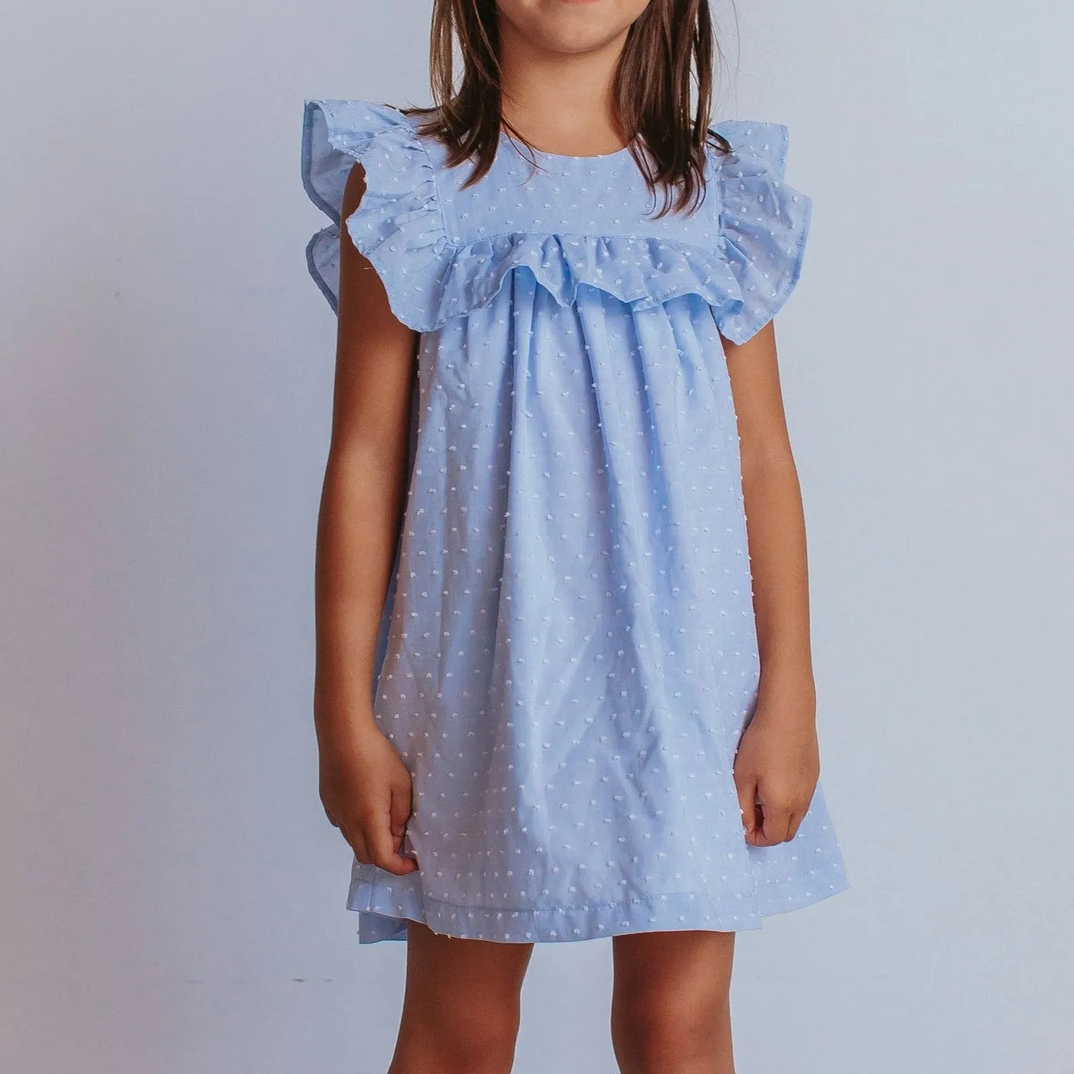 Little Girl's Blue Swiss Dot Cotton Ruffle Collar Dress