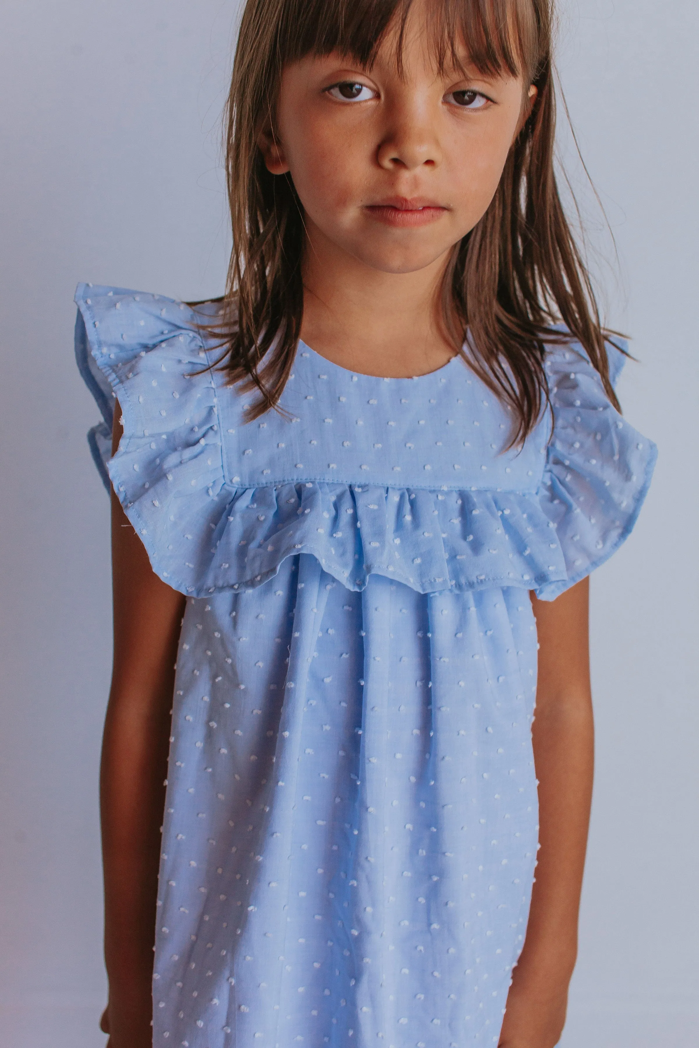 Little Girl's Blue Swiss Dot Cotton Ruffle Collar Dress