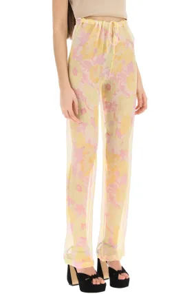 'pachas' silk chiffon pants